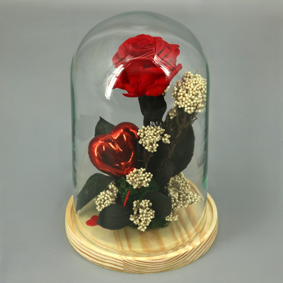 Cúpula Rosa Roja Preservada